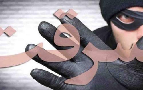 عجیب و غریب‌ترین سرقت‌های جهان +عکس