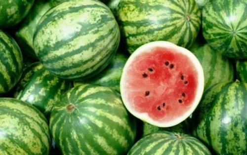 کشف ۲۷۵ کیلوگرم مواد مخدر در بار هندوانه