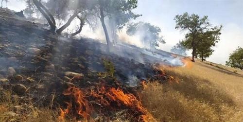 آتش‌سوزی در ارتفاعات دشتستان مهار شد