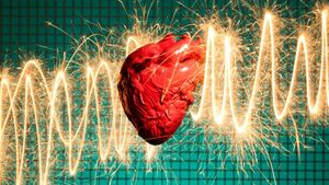  چرا حیوانات دچار حمله قلبی نمی‌شوند؟
