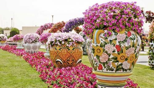 زیباترین گلهای جهان که مبهوت زیبایی‌شان می‌شوید