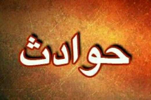 انتقام‌گیری داماد از خانواده همسر