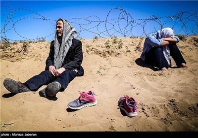  عکس/راهیان سرزمین نور 