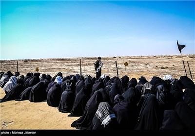  عکس/راهیان سرزمین نور 