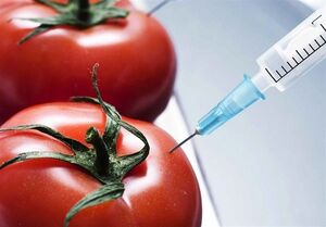 گلایه مجلس از واردکنندگان محصولات تراریخته