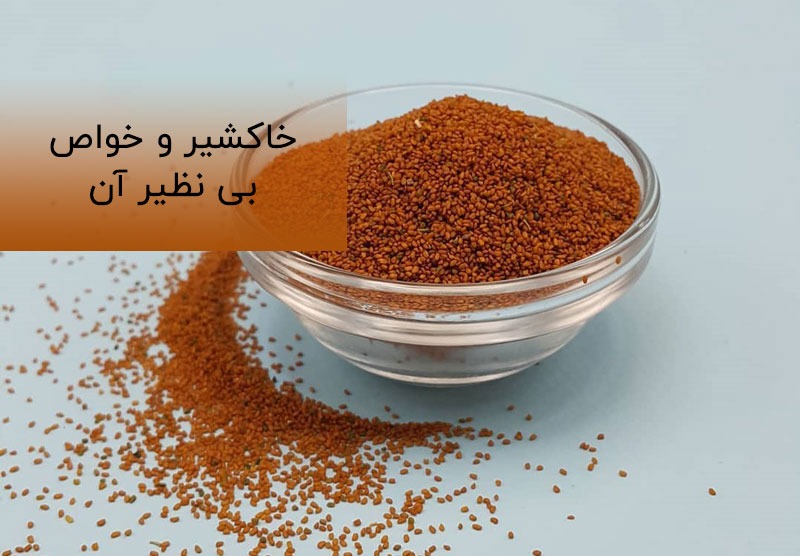 اینفوگرافیک/ نگاهی به خواص خاکشیر