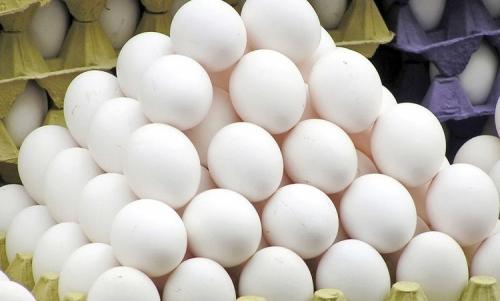 چرا قیمت تخم مرغ بالا رفت؟