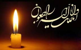  خواهر شهید همت به برادر و فرزند شهیدش پیوست