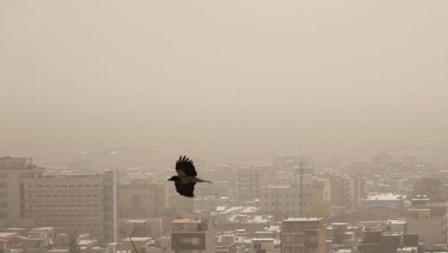 آسمان برخی استان ها غبار آلود می‌شود
