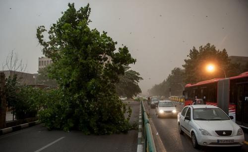  مددی، دریافتی چندستاره استقلال را فاش کرد