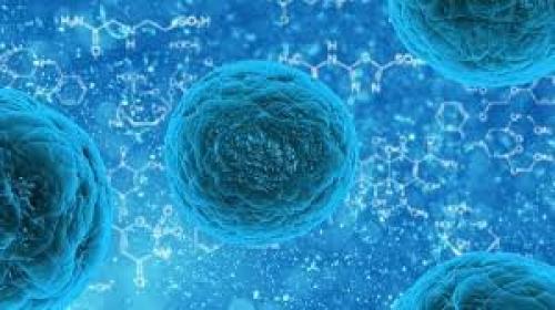  استفاده از سلول‌های بنیادی برای تعدیل سیستم ایمنی در کووید-۱۹