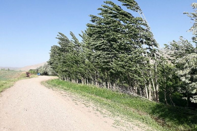  وزش باد شدید و رگبار و رعدوبرق طی ۳ روز آینده
