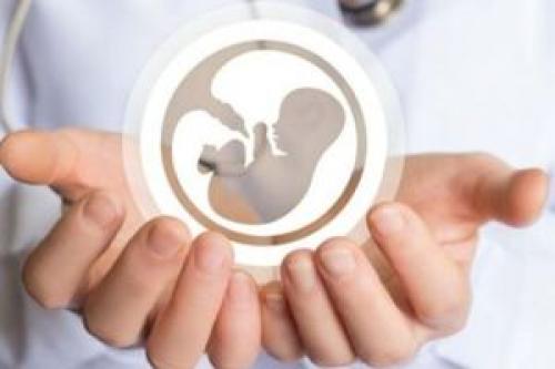  وجود ۳ میلیون زوج نابارور در ایران