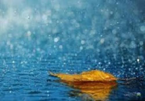 گیلان پربارش‌ترین و یزدکم‌بارش‌ترین استان‌های کشور