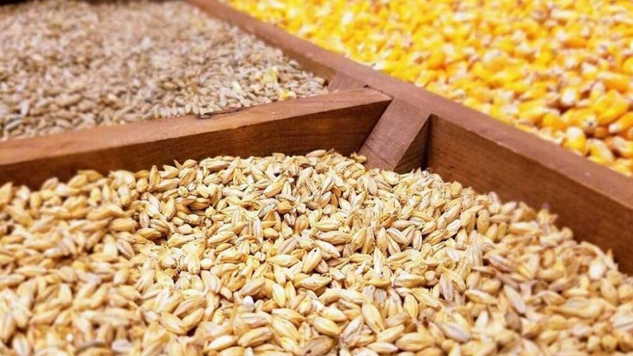  ارز ترجیحی واردکنندگان نهاده دامی را دچار مشکل کرد