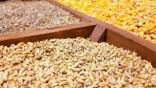  ارز ترجیحی واردکنندگان نهاده دامی را دچار مشکل کرد