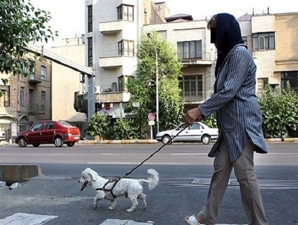 ابستگی شدید به حیوانات خانگی؛ ضرری غیرقابل انکار