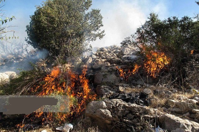  حریق در مراتع مشجر "پاوه"