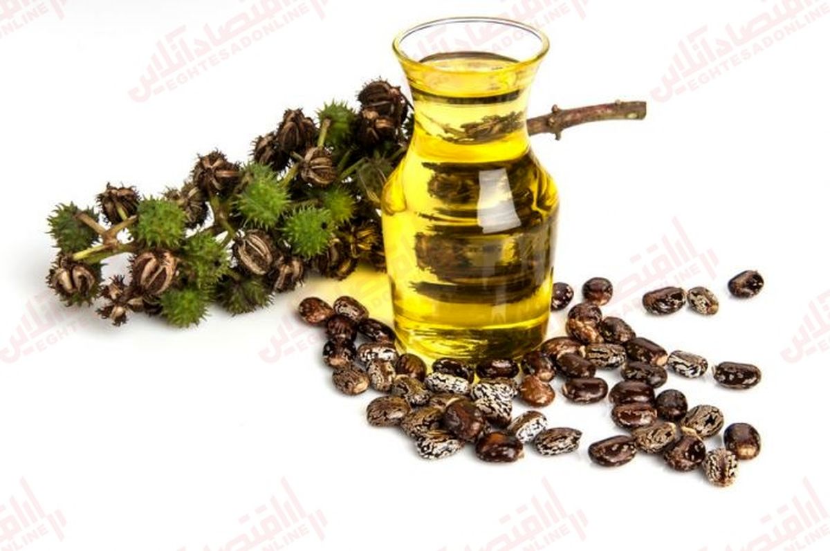 همه خواص « روغن کرچک » 