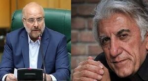 ابهامات طرح «صیانت» اصلاح می‌شود/ مدیریت فرهنگی«بگیر و ببیند» نیست