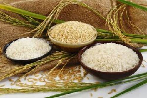  علت گرانی قیمت برنج چیست؟