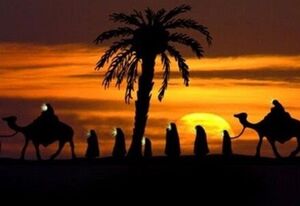 چرا امام سجاد را بعد از کربلا شهید نکردند؟