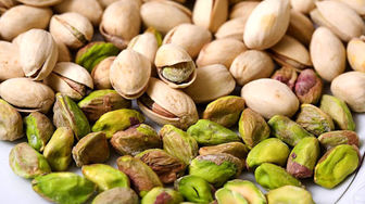 زمان برداشت پسته در مناطق مرکزی