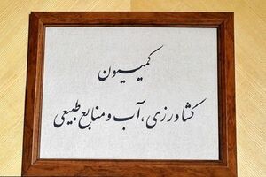  تایید صلاحیت وزیر نیرو در کمیسیون کشاورزی
