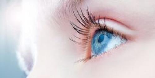هر کسی از پول گذشت، از پل گذشت +عکس