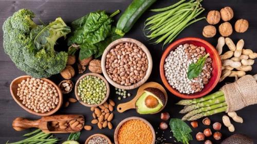 طریقه نگهداری مواد غذایی در برابر کپک 
