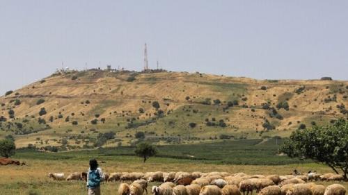 سقوط خمپاره‌ موشکی در سهل الغاب