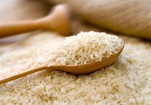 واکنش دبیر اتحادیه بنکداران به گرانی برنج 