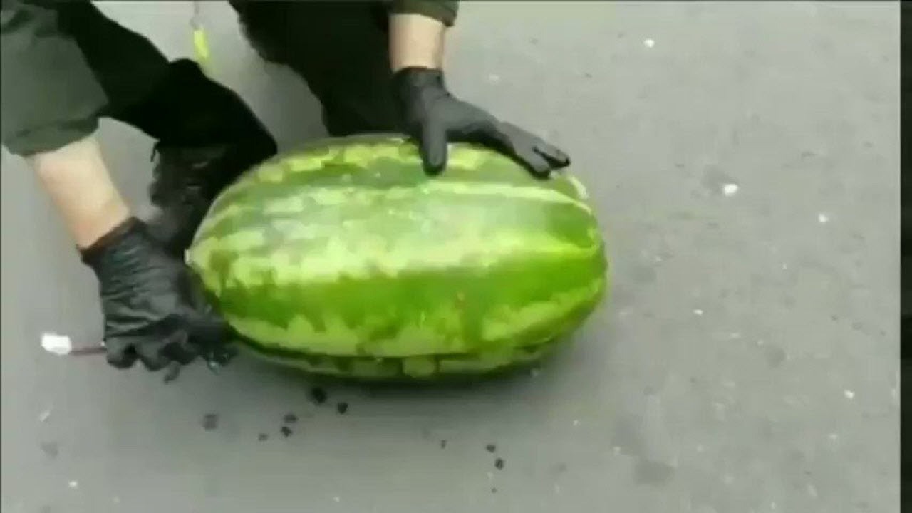 حمل مواد مخدر در دل هندوانه 