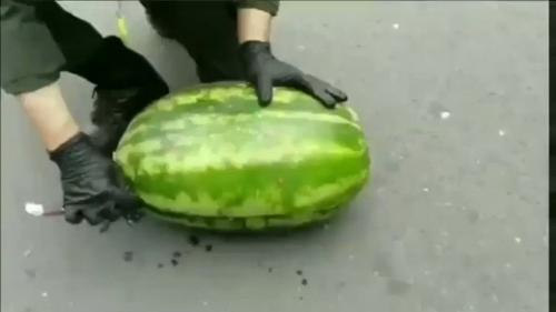 حمل مواد مخدر در دل هندوانه 