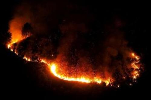 آتش‌سوزی جنگلی در جنوب اسپانیا