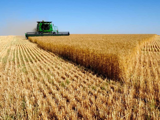  برگزاری یک هم‌اندیشی دانشجویی در زمینه کشاورزی