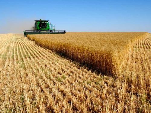  برگزاری یک هم‌اندیشی دانشجویی در زمینه کشاورزی