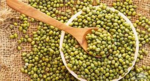 ماش و خواص آن برای بدن