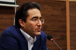 همه کامیون‌های دپو شده در گمرک ترخیص می شوند