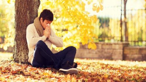 بالا بردن ایمنی بدن در فصل پاییز 