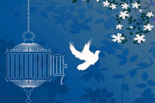 بری دیگه برنگردی +عکس