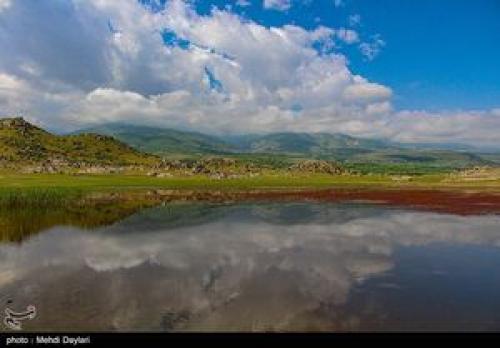 خرید و رهاسازی صدها قطعه طرقه در طبیعت 