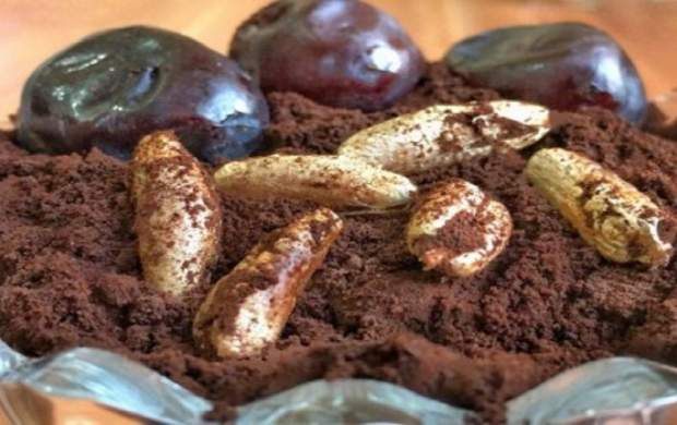 هسته خرما را دور نریزید!