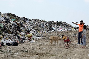 عکس/آشغال تپه در بهشهر