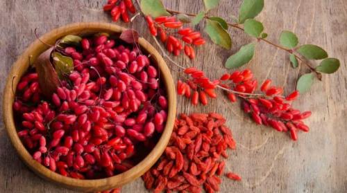 قیمت زرشک از تولید تا مصرف ۷ برابر می‌شود