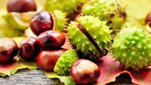  احساس گزگز و تورم پا را با این میوه برطرف کنید