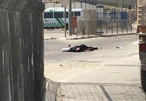 جنایت جدید صهیونیست‌ها؛ درشهادت یک خواهر و برادر فلسطینی در شمال قدس 