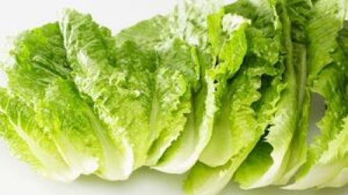 4ماده غذایی برای افزایش اکسیژن خون 