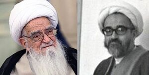 اصلاح‌طلبان و لباس گشاد حمایت از مراجع تقلید/ دولت میرحسین چگونه آیت‌الله صافی را وادار به استعفا کرد؟