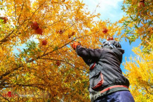 ۵ راهکار طلایی برای رهایی از افسردگی فصلی